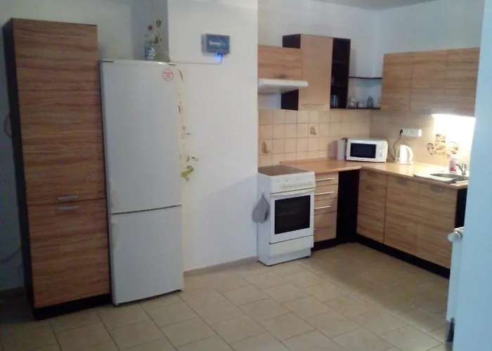 Apartamento U Parku *