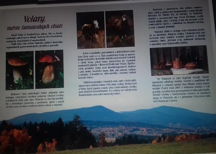Apartamento U Parku