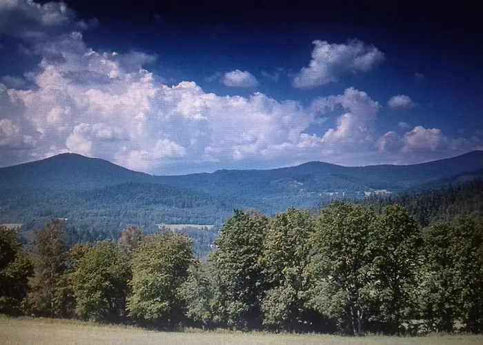 Lägenhet U Parku Volary